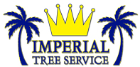 Imperial Tree Service St Pete Home Page